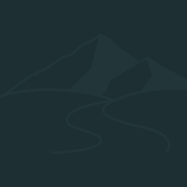 mountains_bg.png