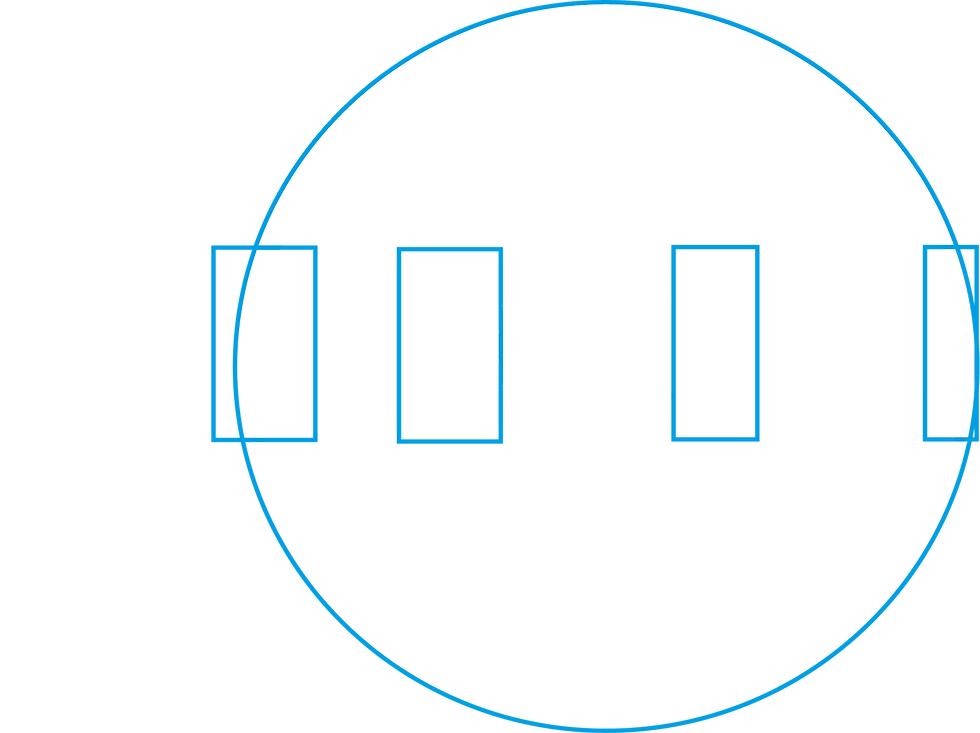 Costruzione primo logo di Nice Surgelati