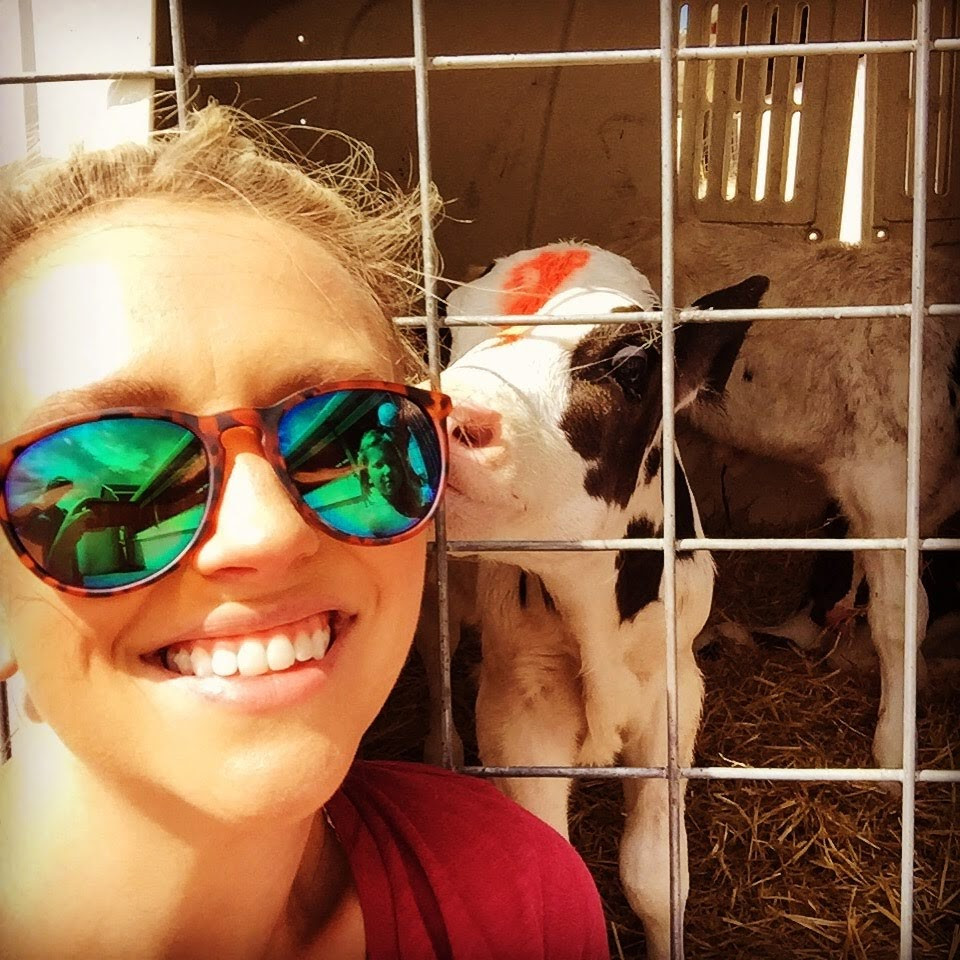 The author smiling with a newborn baby calf that is sniffing her from within his cage at a Concentrated Animal Feeding Operation (CAFO), A CAFO is a large-scale industrial agricultural facility that raises animals at high-density for the consumption of meat or milk.