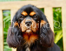 Screenshot_2018-12-30-14-52-48_edited.jp