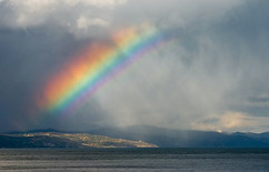 Rainbow.jpeg