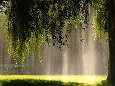 Sun shower2.jpg