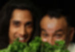 Coriander Hedge Portrait.jpg