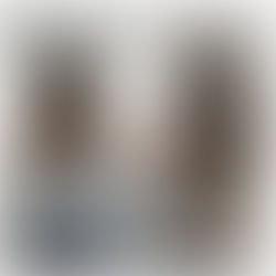 𝗗𝗮𝗺𝗮𝗴𝗲 𝗶𝘀 𝗮 𝗯𝗶𝗴 𝗰𝗼𝗻𝗰𝗲𝗿𝗻 𝘀𝗼…“𝗔𝗿𝗲 𝗰𝗹𝗶𝗽 𝗶𝗻𝘀 𝗮 𝘀𝗮𝗳𝗲𝗿 𝗼𝗽𝘁𝗶𝗼𝗻?"