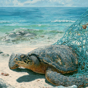 Ecologia