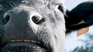 『草の根』 武田 壱太