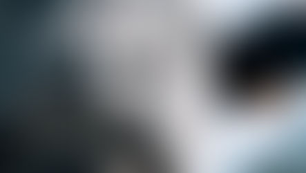 『草の根』 武田 壱太