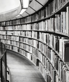 最新のお知らせ