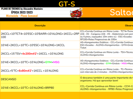 Semana 11 - GT-S