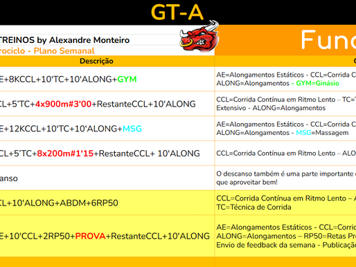 Plano Semanal 13