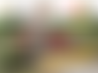 Treino Conjunto #02 - Estádio Nacional