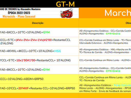Semana 12 - GT-M