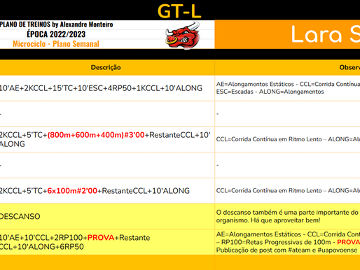 Semana 11 - GT-L