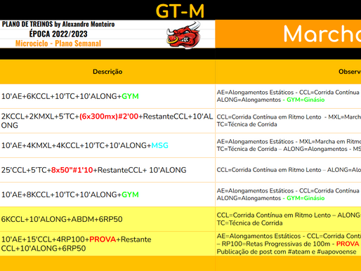Semana 11 - GT-M
