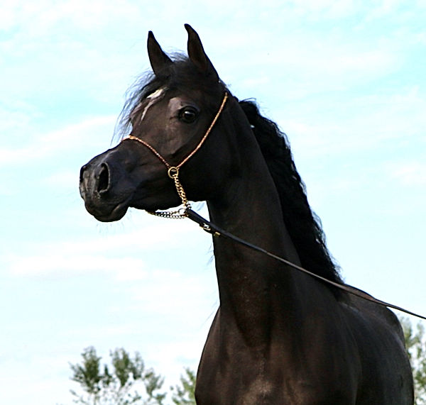 IMG_1361_edited.jpg