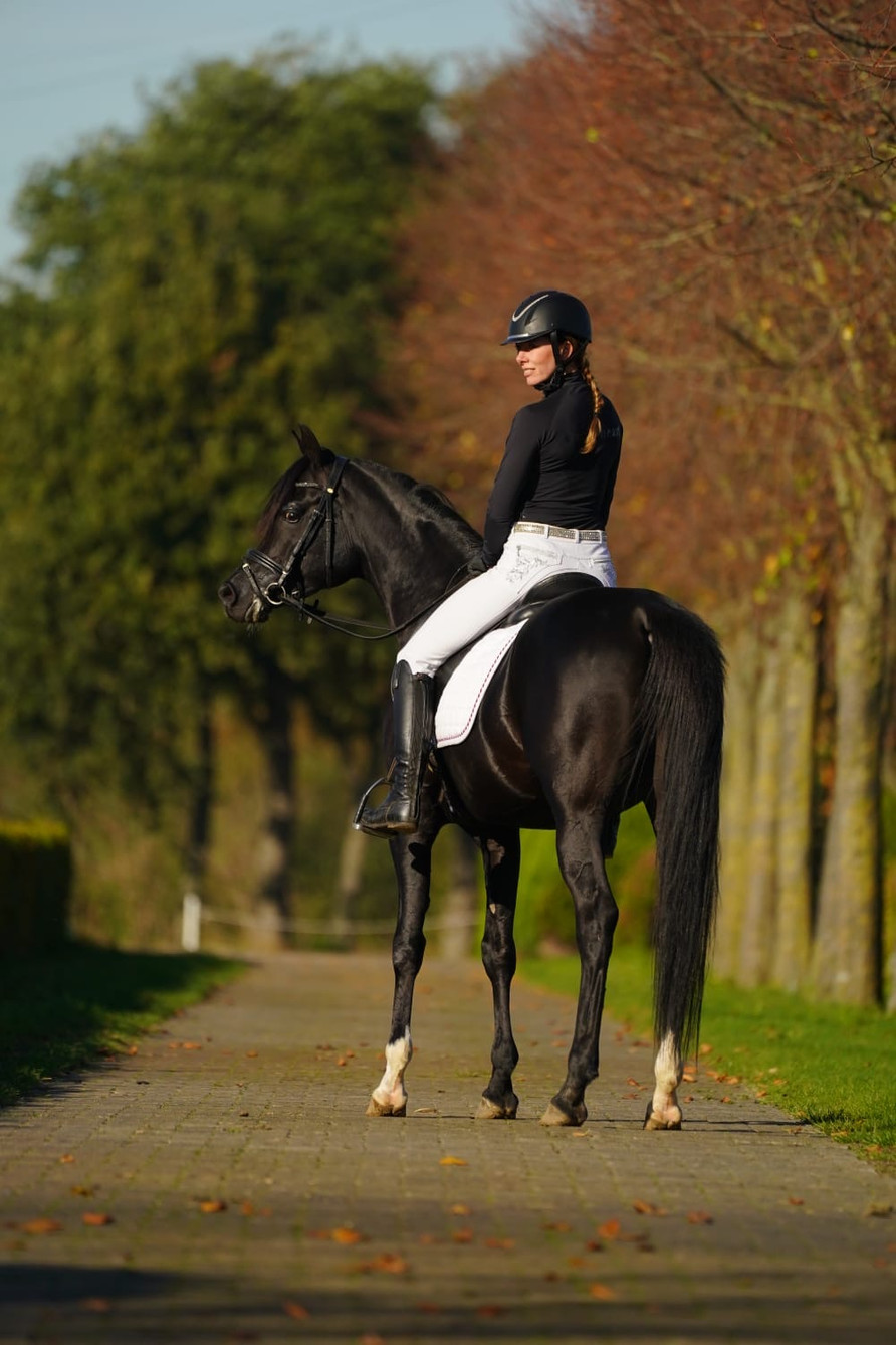 Shayan is under saddle - and he loves it!