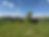 8BC1C796-711A-440A-B0F6-16B32FE2899A.heic