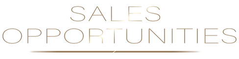 SALES.png