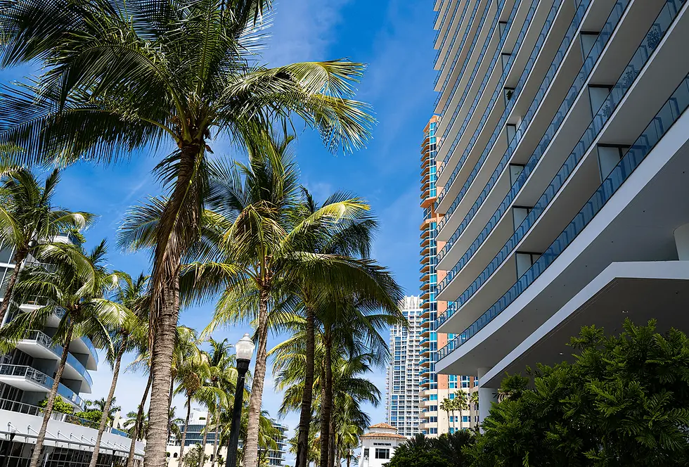 South Florida condo building with palm trees, representing multifamily activity and local rental market shifts.