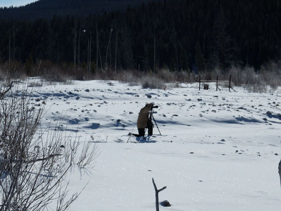 Craig Getchius Photographing in RMNP