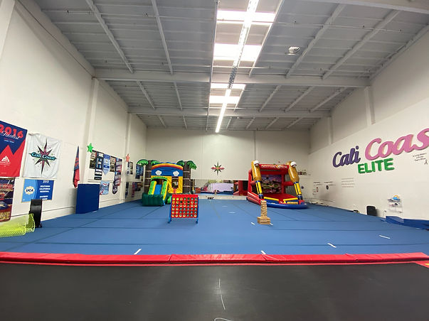 cali coast elite birthday party san dieg