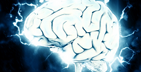 cerebro.png