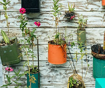DIY Hanging Flowerpots