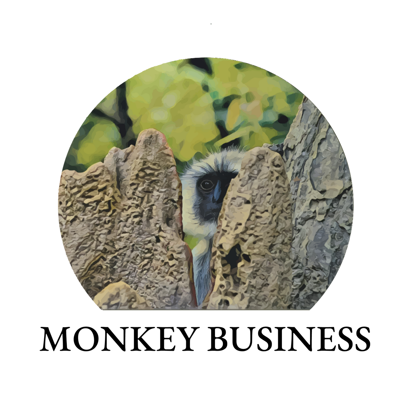 Indian Wildlife Blog Monkey Business Safaris Indian Wildlife Blog Monkey Business Safaris