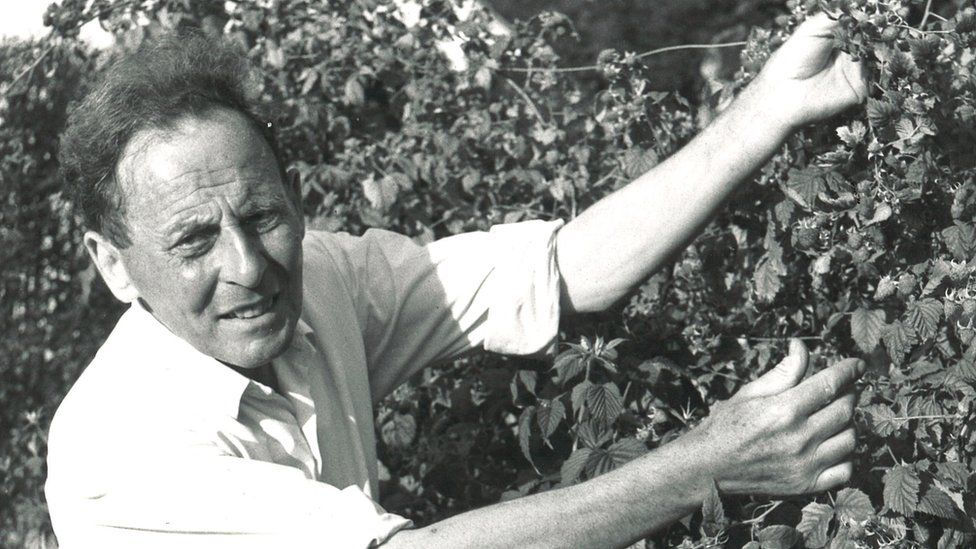Donald Watson