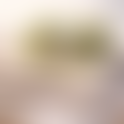 Vier indrukwekkende pre-studies voor Healing Huisvesting. Opmars naar een collectief handboek voor de Nederlandse GGZ