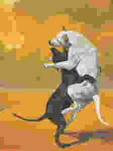 invitation.jpeg