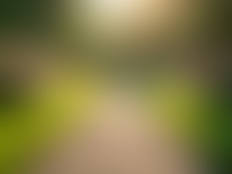 Effective Ways to Access Mental Health Support