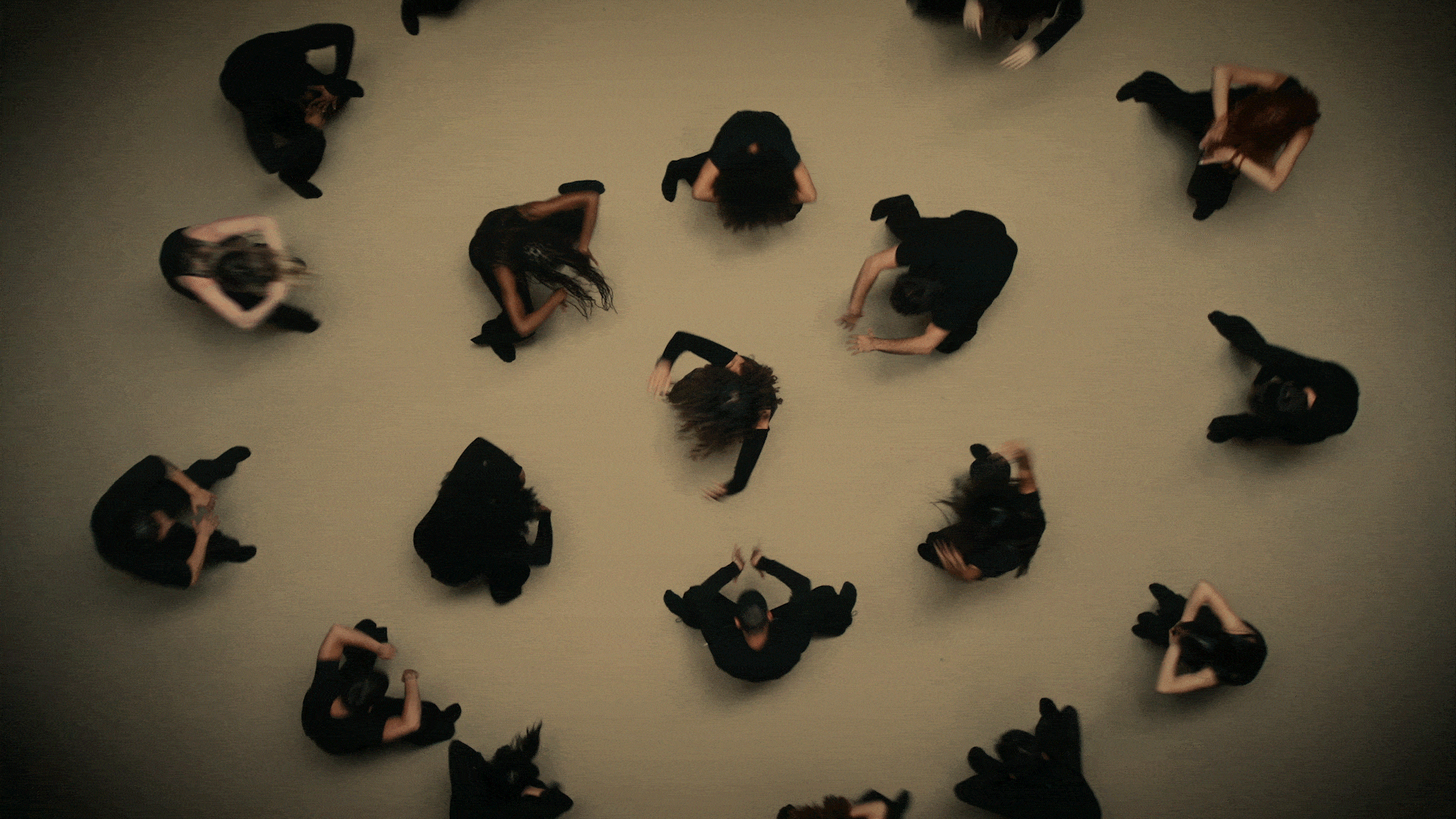 L2 (1).gif