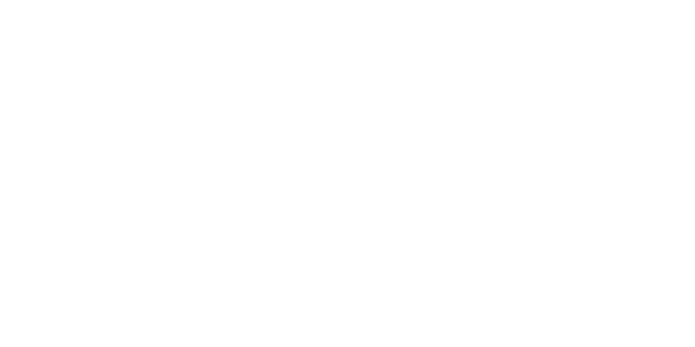 everest logo.png