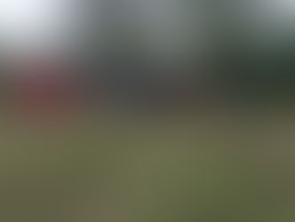 У ЗДОРОВОМУ ТІЛІ - ЗДОРОВИЙ ДУХ