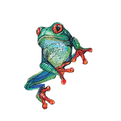 Froggy Illustration by Megan Nutt Bester