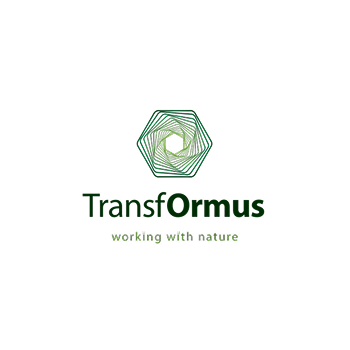 TransfOrmus