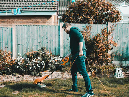 10 household garden problems and how to fix them
