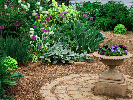 Create a low maintenance garden
