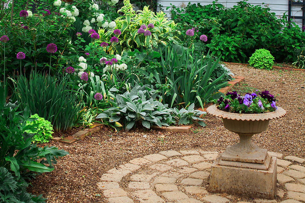 Create a low maintenance garden