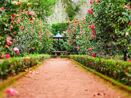 Quick and easy checklist for garden maintenance