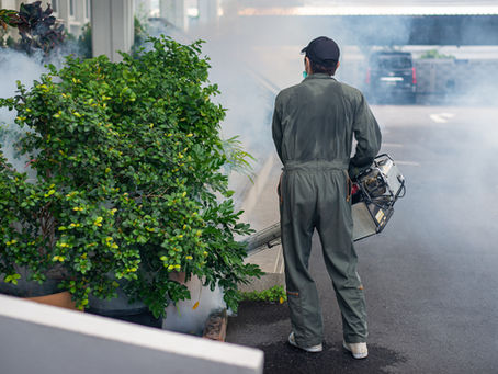 IWESCO offers long-lasting pest control services