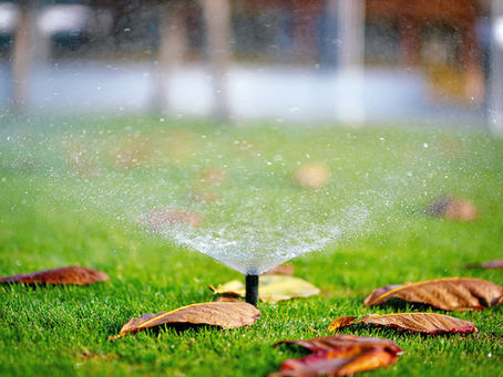How to fix these common irrigation problems in your garden