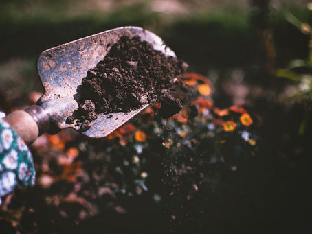 Gardening can boost resilience and well-being