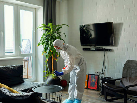 Why you should use a professional cleaning service for your home