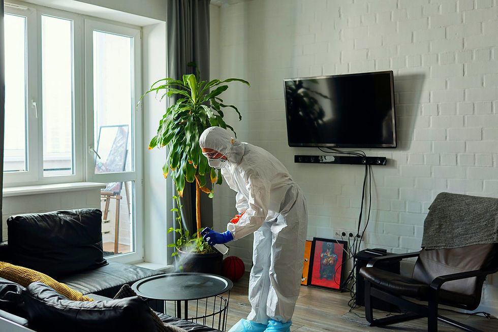 Professional cleaning service working in a home