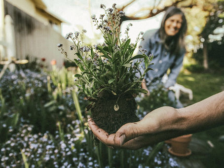 Six ways to be environmentally-friendly during lockdown