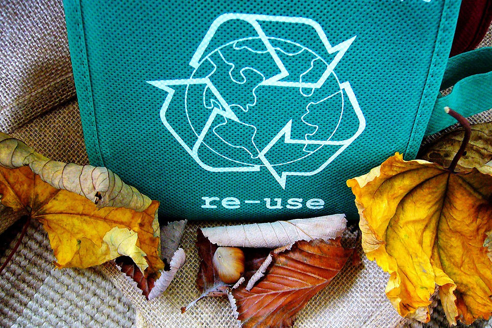 Why your business needs waste control services