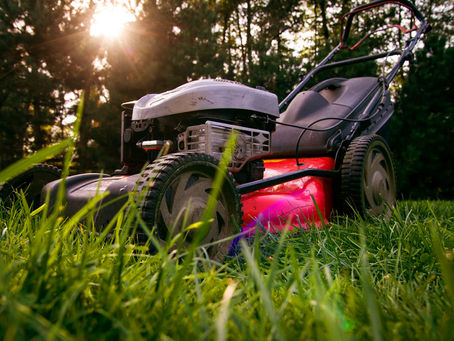 Why opt for IWESCO's gardening services