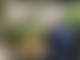 Accessible Gardening Tips from Handiscapes